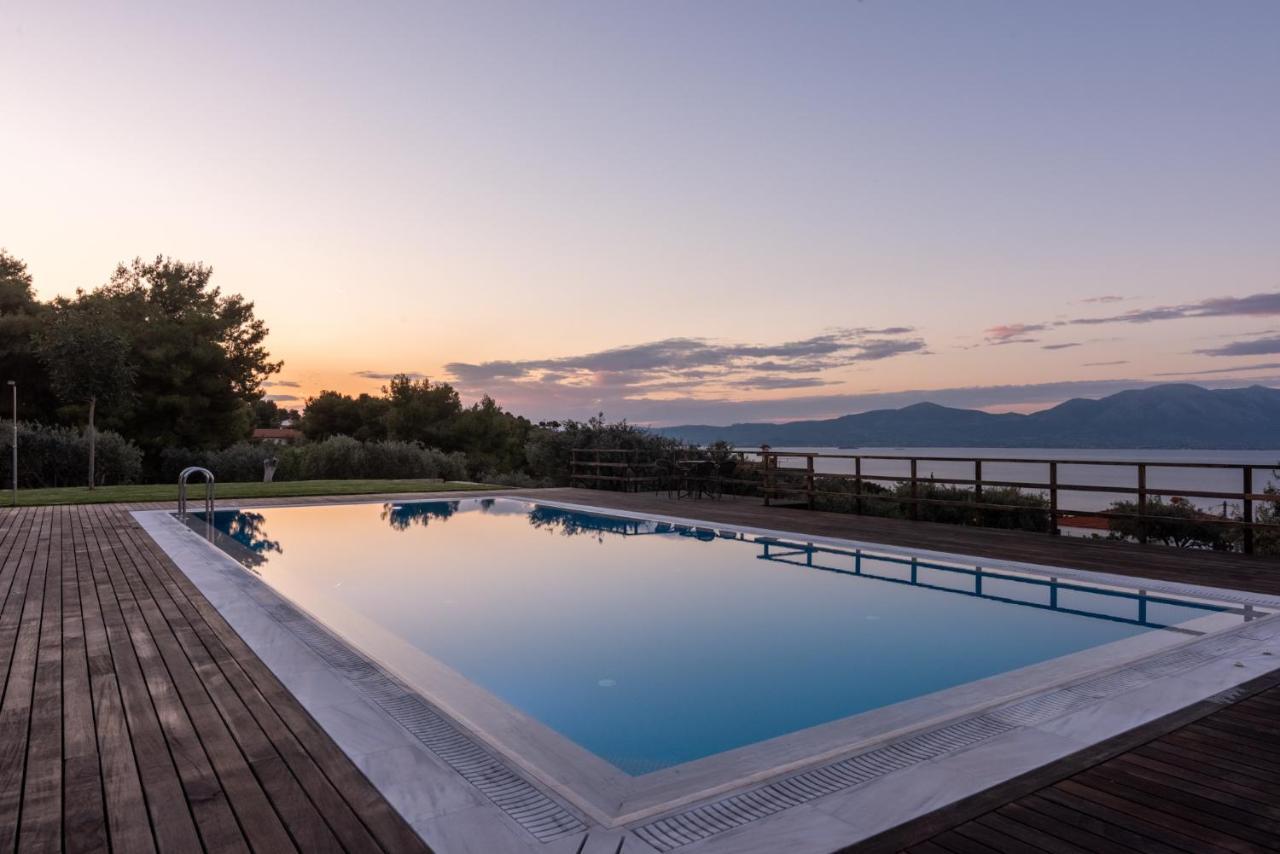Villa Kalamos / Sea View And Pool Nearby Athens Экстерьер фото