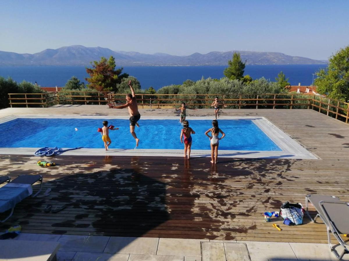 Villa Kalamos / Sea View And Pool Nearby Athens Экстерьер фото