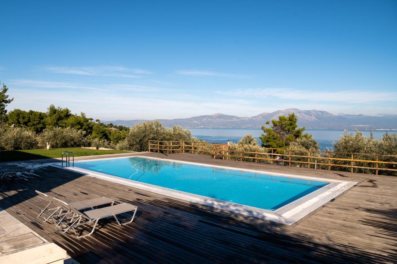 Villa Kalamos / Sea View And Pool Nearby Athens Экстерьер фото